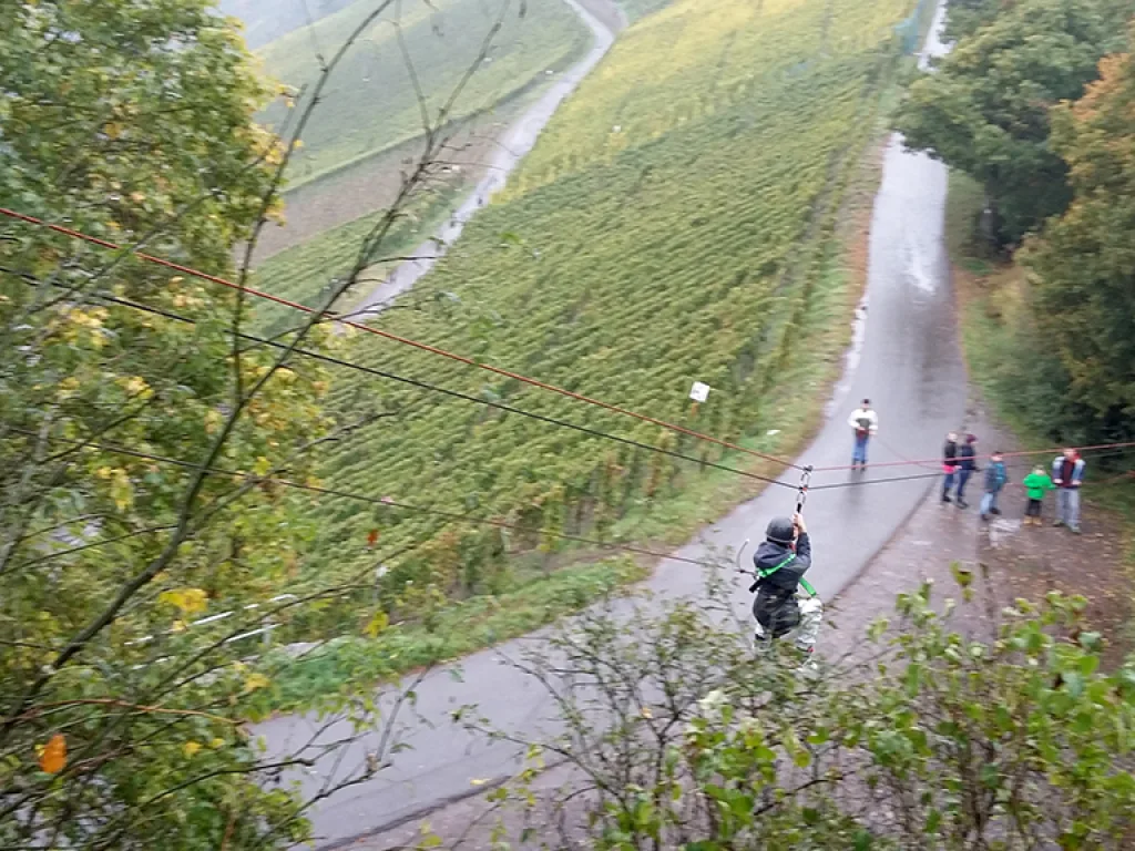 Person saust an der Seilrutsche über den Weinberg.